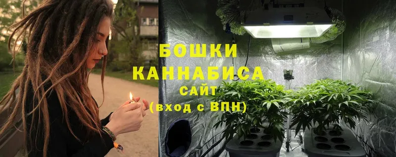 Каннабис OG Kush  даркнет как зайти  Данков  купить наркотик 